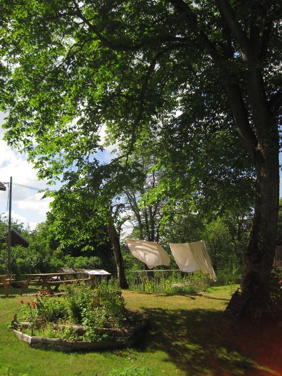 Vita Krala Haddebo Exteriér fotografie